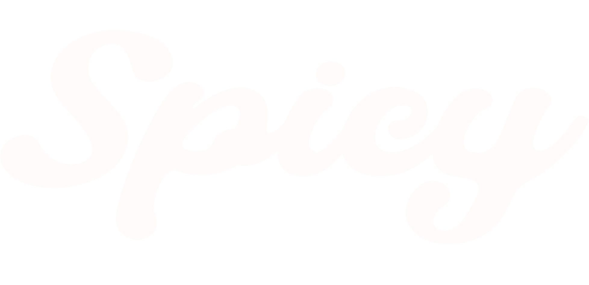 Agencia Spicy Brand